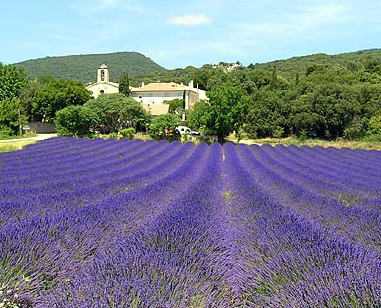 Montbrison sur Lez Montbrison sur Lez