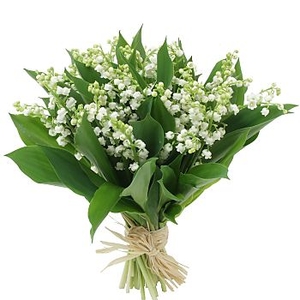 muguet muguet